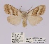  ( - ANHRTUK00019924)  @11 [ ] COPYRIGHT (2021) Unspecified ANHRT