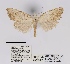  ( - ANHRTUK00019933)  @11 [ ] COPYRIGHT (2021) Unspecified ANHRT