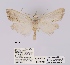  ( - ANHRTUK00019935)  @11 [ ] COPYRIGHT (2021) Unspecified ANHRT