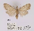  ( - ANHRTUK00019936)  @11 [ ] COPYRIGHT (2021) Unspecified ANHRT