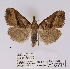  ( - ANHRTUK00019948)  @11 [ ] COPYRIGHT (2021) Unspecified ANHRT