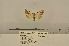  ( - ANHRTUK00019964)  @11 [ ] COPYRIGHT (2021) Unspecified ANHRT