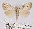  ( - ANHRTUK00020578)  @11 [ ] COPYRIGHT (2021) Unspecified ANHRT