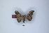  ( - ANHRTUK00024765)  @11 [ ] Copyright (2021) Unspecified ANHRT