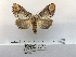  ( - ANHRTUK00035104)  @11 [ ] COPYRIGHT (2021) Unspecified ANHRT