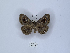  ( - ANHRTUK00035220)  @11 [ ] Copyright (2021) Unspecified ANHRT