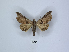  ( - ANHRTUK00035902)  @11 [ ] Copyright (2021) Unspecified ANHRT