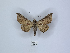  ( - ANHRTUK00035903)  @11 [ ] Copyright (2021) Unspecified ANHRT