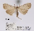  ( - ANHRTUK00039105)  @11 [ ] COPYRIGHT (2021) Unspecified ANHRT