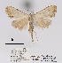  ( - ANHRTUK00039114)  @11 [ ] COPYRIGHT (2021) Unspecified ANHRT