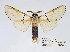  ( - ANHRTUK00042916)  @11 [ ] Copyright (2021) Unspecified ANHRT