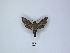 ( - ANHRTUK00043151)  @11 [ ] Copyright (2021) Unspecified ANHRT