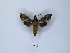  ( - ANHRTUK00043176)  @11 [ ] Copyright (2021) Unspecified ANHRT