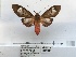  ( - ANHRTUK00046092)  @11 [ ] COPYRIGHT (2021) Unspecified ANHRT