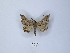  ( - ANHRTUK00046742)  @11 [ ] Copyright (2021) Unspecified ANHRT