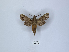  ( - ANHRTUK00046974)  @11 [ ] Copyright (2021) Unspecified ANHRT