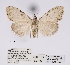  ( - ANHRTUK00047837)  @11 [ ] COPYRIGHT (2021) Unspecified ANHRT