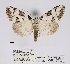  ( - ANHRTUK00047845)  @11 [ ] COPYRIGHT (2021) Unspecified ANHRT