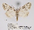  ( - ANHRTUK00049239)  @11 [ ] COPYRIGHT (2021) Unspecified ANHRT
