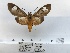  ( - ANHRTUK00050197)  @11 [ ] COPYRIGHT (2021) Unspecified ANHRT