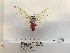  ( - ANHRTUK00054876)  @11 [ ] COPYRIGHT (2021) Unspecified ANHRT