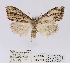  ( - ANHRTUK00055120)  @11 [ ] COPYRIGHT (2021) Unspecified ANHRT