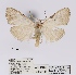  ( - ANHRTUK00055183)  @11 [ ] COPYRIGHT (2021) Unspecified ANHRT