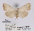  ( - ANHRTUK00056447)  @11 [ ] COPYRIGHT (2021) Unspecified ANHRT