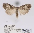  ( - ANHRTUK00056963)  @11 [ ] COPYRIGHT (2021) Unspecified ANHRT