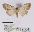  ( - ANHRTUK00057016)  @11 [ ] COPYRIGHT (2021) Unspecified ANHRT