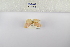  ( - ANHRTUK-00057044)  @11 [ ] Copyright (2021) Unspecified ANHRT