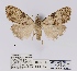  ( - ANHRTUK00057292)  @11 [ ] COPYRIGHT (2021) Unspecified ANHRT