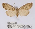  ( - ANHRTUK00058514)  @11 [ ] COPYRIGHT (2021) Unspecified ANHRT