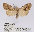  ( - ANHRTUK00058531)  @11 [ ] COPYRIGHT (2021) Unspecified ANHRT