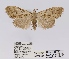 ( - ANHRTUK00058548)  @11 [ ] COPYRIGHT (2021) Unspecified ANHRT