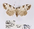  ( - ANHRTUK00058551)  @11 [ ] COPYRIGHT (2021) Unspecified ANHRT