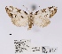 ( - ANHRTUK00058552)  @11 [ ] COPYRIGHT (2021) Unspecified ANHRT