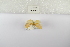 ( - ANHRTUK-00060173)  @11 [ ] Copyright (2021) Unspecified ANHRT