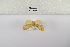 ( - ANHRTUK-00060248)  @11 [ ] Copyright (2021) Unspecified ANHRT