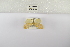  ( - ANHRTUK-00060278)  @11 [ ] Copyright (2021) Unspecified ANHRT