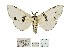  ( - ANHRTUK00061207)  @11 [ ] Copyright (2021) Unspecified ANHRT