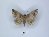  ( - ANHRTUK00063534)  @11 [ ] Copyright (2021) Unspecified ANHRT