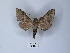  ( - ANHRTUK00067532)  @11 [ ] Copyright (2021) Unspecified ANHRT