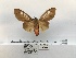  ( - ANHRTUK00070065)  @11 [ ] COPYRIGHT (2021) Unspecified ANHRT