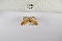  ( - ANHRTUK-00070125)  @11 [ ] Copyright (2021) Unspecified ANHRT