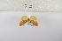  ( - ANHRTUK-00070138)  @11 [ ] Copyright (2021) Unspecified ANHRT