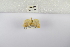  ( - ANHRTUK-00070221)  @11 [ ] Copyright (2021) Unspecified ANHRT