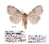  ( - ANHRTUK00073418)  @11 [ ] COPYRIGHT (2021) Unspecified ANHRT