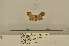  ( - ANHRTUK00073986)  @11 [ ] COPYRIGHT (2021) Unspecified ANHRT