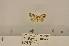  ( - ANHRTUK00074020)  @11 [ ] COPYRIGHT (2021) Unspecified ANHRT